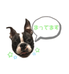 バブち 〜HAPPY SUMMER 2020〜（個別スタンプ：4）