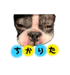 バブち 〜HAPPY SUMMER 2020〜（個別スタンプ：10）