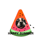 バブち 〜HAPPY SUMMER 2020〜（個別スタンプ：21）