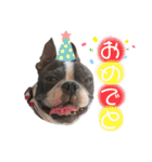 バブち 〜HAPPY SUMMER 2020〜（個別スタンプ：30）