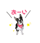バブち 〜HAPPY SUMMER 2020〜（個別スタンプ：32）
