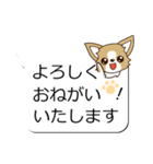 チワワ 犬スタンプ（吹き出し編）（個別スタンプ：5）