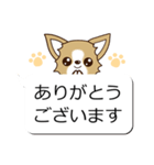 チワワ 犬スタンプ（吹き出し編）（個別スタンプ：6）