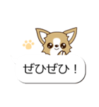 チワワ 犬スタンプ（吹き出し編）（個別スタンプ：11）