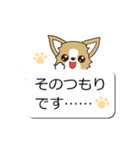 チワワ 犬スタンプ（吹き出し編）（個別スタンプ：12）