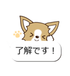 チワワ 犬スタンプ（吹き出し編）（個別スタンプ：13）