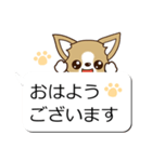 チワワ 犬スタンプ（吹き出し編）（個別スタンプ：14）