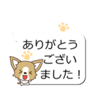 チワワ 犬スタンプ（吹き出し編）（個別スタンプ：15）