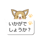 チワワ 犬スタンプ（吹き出し編）（個別スタンプ：17）