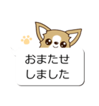 チワワ 犬スタンプ（吹き出し編）（個別スタンプ：18）