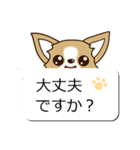 チワワ 犬スタンプ（吹き出し編）（個別スタンプ：19）