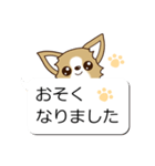 チワワ 犬スタンプ（吹き出し編）（個別スタンプ：20）