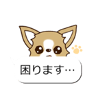 チワワ 犬スタンプ（吹き出し編）（個別スタンプ：21）