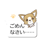 チワワ 犬スタンプ（吹き出し編）（個別スタンプ：22）