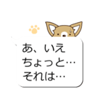 チワワ 犬スタンプ（吹き出し編）（個別スタンプ：23）