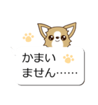 チワワ 犬スタンプ（吹き出し編）（個別スタンプ：27）