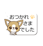 チワワ 犬スタンプ（吹き出し編）（個別スタンプ：30）