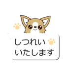 チワワ 犬スタンプ（吹き出し編）（個別スタンプ：31）