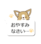 チワワ 犬スタンプ（吹き出し編）（個別スタンプ：32）