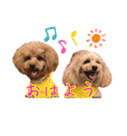 チョコ＆アラレ（個別スタンプ：2）