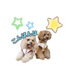 チョコ＆アラレ（個別スタンプ：3）