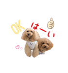チョコ＆アラレ（個別スタンプ：12）