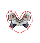 りりぽん②（個別スタンプ：1）