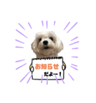 りりぽん②（個別スタンプ：5）