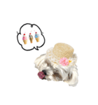 りりぽん②（個別スタンプ：8）