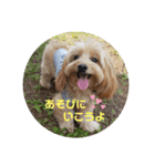 ☆むぎちゃ☆（個別スタンプ：3）