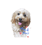 ☆むぎちゃ☆（個別スタンプ：4）