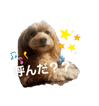 ☆むぎちゃ☆（個別スタンプ：8）