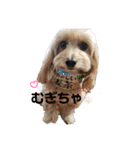 ☆むぎちゃ☆（個別スタンプ：10）