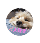 ☆むぎちゃ☆（個別スタンプ：16）