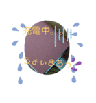 うーたん    たんたんぬーん(色々パック)（個別スタンプ：1）