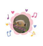 うーたん    たんたんぬーん(色々パック)（個別スタンプ：5）