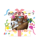 うーたん    たんたんぬーん(色々パック)（個別スタンプ：7）