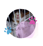 うーたん    たんたんぬーん(色々パック)（個別スタンプ：8）