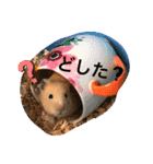 キンクマハムスターのマロちゃん♡（個別スタンプ：7）