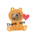 キンクマハムスターのマロちゃん♡（個別スタンプ：13）