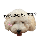 だいすきな人へぷーどる（個別スタンプ：2）