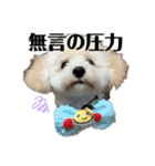 だいすきな人へぷーどる（個別スタンプ：3）