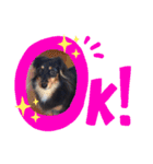 パピックスのそら（個別スタンプ：1）
