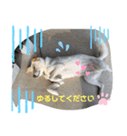 たろスタ①（個別スタンプ：2）
