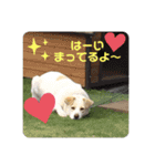 たろスタ①（個別スタンプ：5）
