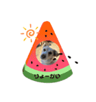 たろスタ①（個別スタンプ：7）