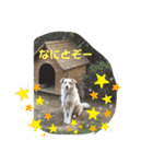 たろスタ①（個別スタンプ：9）