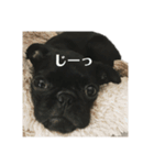 Roiro＆らぷー（個別スタンプ：2）