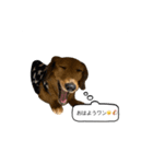 話すラガーちゃん（個別スタンプ：2）