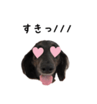 ちむちむちゃん（個別スタンプ：2）